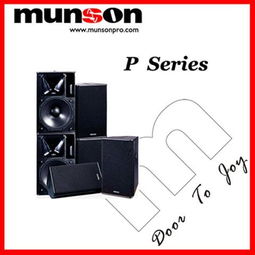 全方位解析 P10、P12、P15全频音箱——音响设备的核心力量